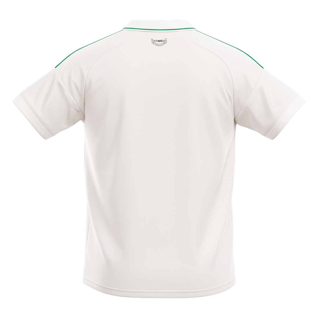 Pánske Futbalový Dres Wales Vonkajší MS 2026